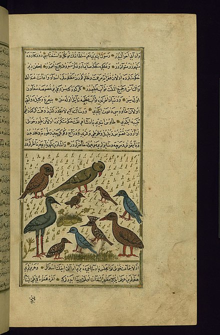 ميزان العمل-٣
